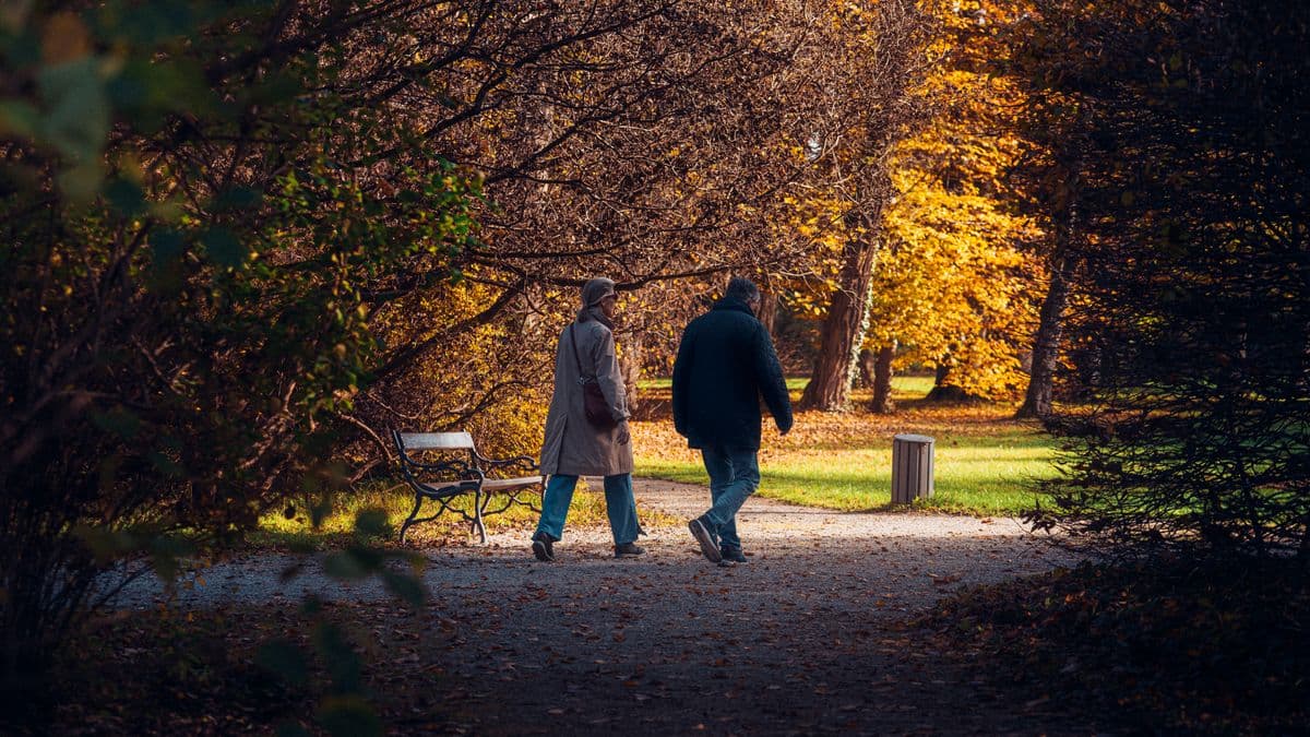Senior couple walking together in an autumn park